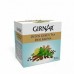 Girnar Detox Green Tea - Desi Kahwa 90 g (36 Tea Bags)