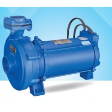 KSB 3HP Agriculture Pump Set: DOL MR 3 A- 50-40-25*